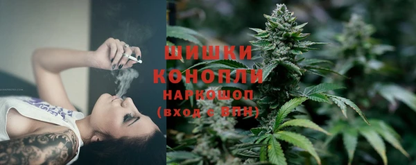ПСИЛОЦИБИНОВЫЕ ГРИБЫ Абинск