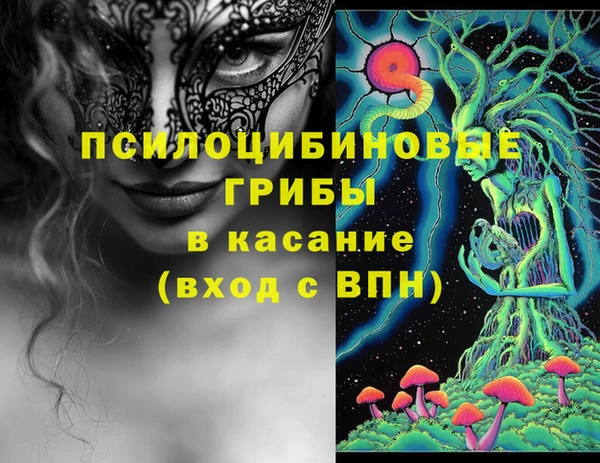 a pvp Абаза