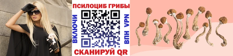 Галлюциногенные грибы MAGIC MUSHROOMS  кракен зеркало  Райчихинск  магазин продажи наркотиков 